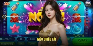 mèo chiêu tài