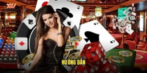 Hướng dẫn