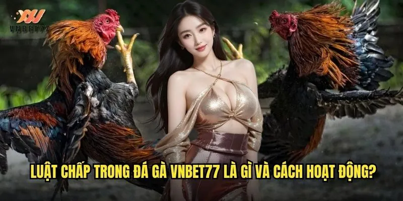 Luật chấp trong đá gà vnbet77 là gì và cách hoạt động?