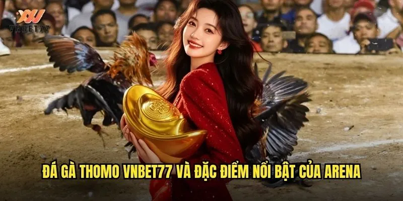 Đá gà Thomo vnbet77 và đặc điểm nổi bật của arena