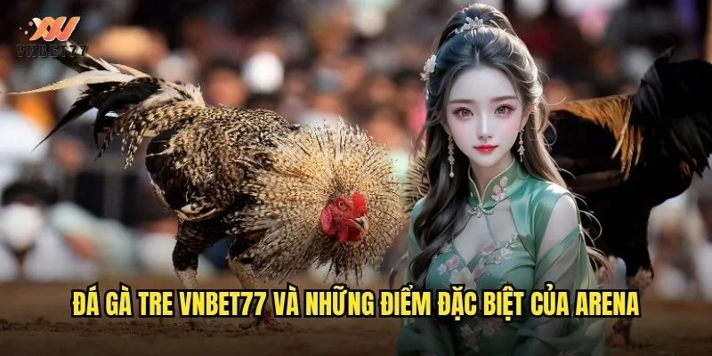 Đá gà tre vnbet77 và những điểm đặc biệt của arena