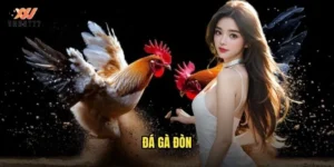 đá gà đòn