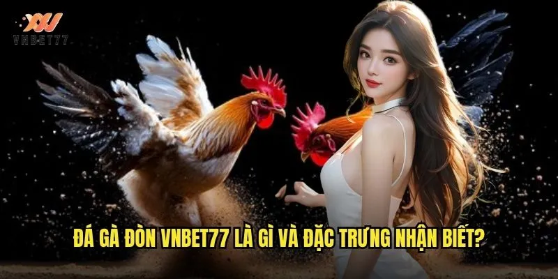 Đá gà đòn vnbet77 là gì và đặc trưng nhận biết?