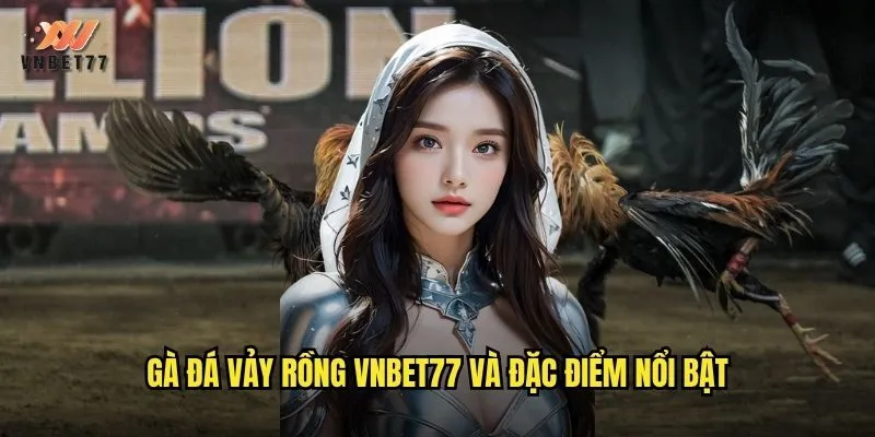 Gà đá vảy rồng vnbet77 và đặc điểm nổi bật
