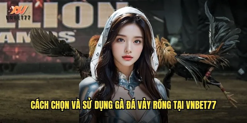Cách chọn và sử dụng gà đá vảy rồng tại vnbet77