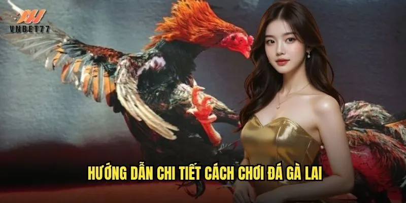 Hướng dẫn chi tiết cách chơi đá gà lai
