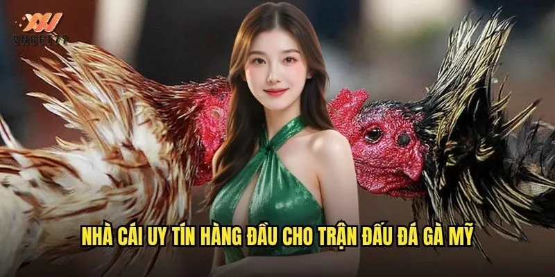 Nhà cái uy tín hàng đầu cho trận đấu đá gà Mỹ
