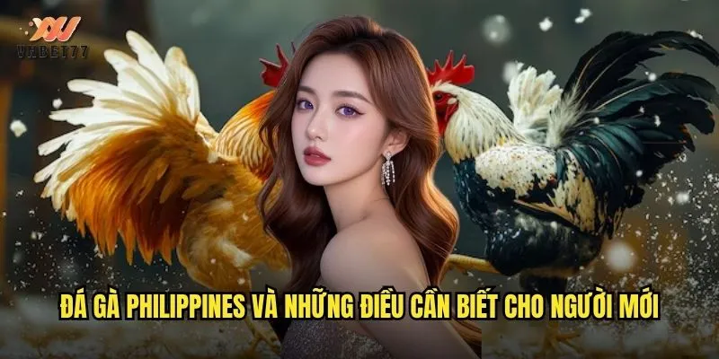 Đá gà Philippines và những điều cần biết cho người mới